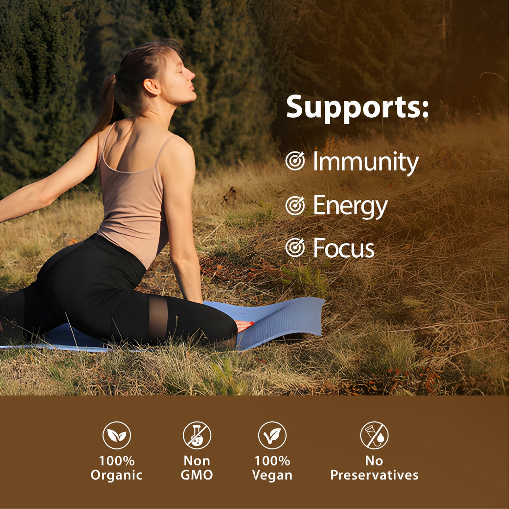 Yoga Aura Shilajit Capsules – Himalayan Shilajit 500mg Daily Supplement