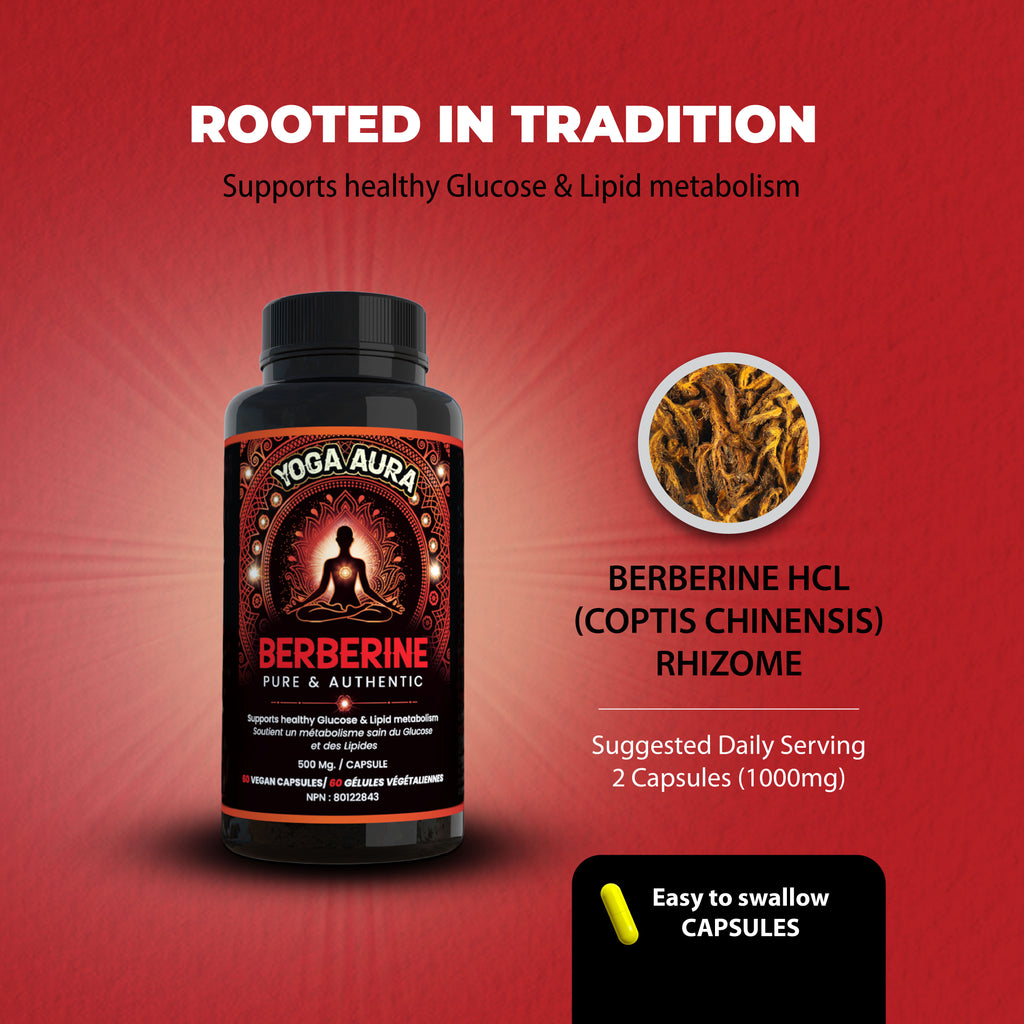 Yoga Aura 100% Pure Berberine – 500 mg of clinically studied berberine HCl, Lab tested, non-GMO & vegan | Health Canada Licensed NPN  80122843