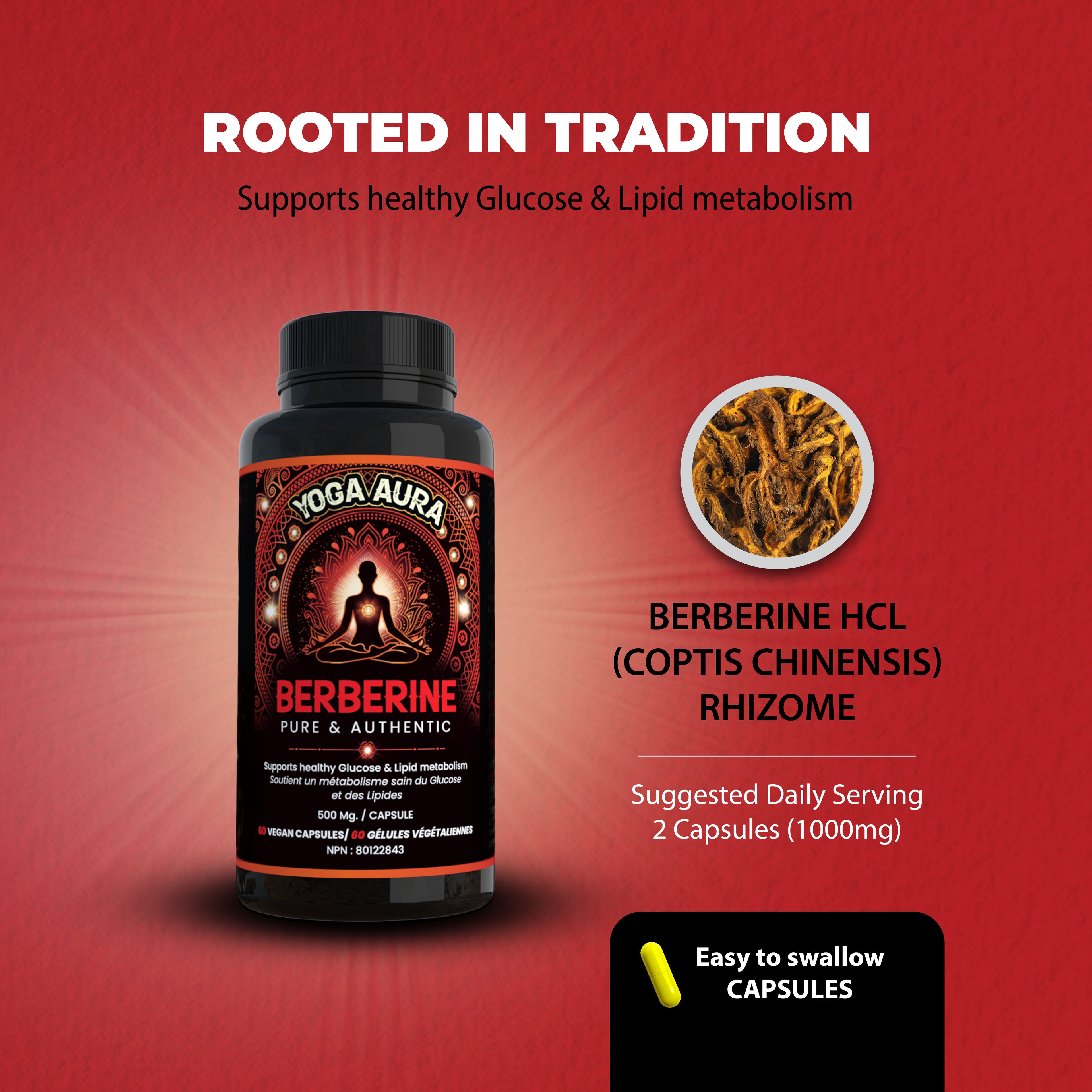 Yoga Aura 100% Pure Berberine – 500 mg of clinically studied berberine HCl, Lab tested, non-GMO & vegan | Health Canada Licensed NPN  80122843