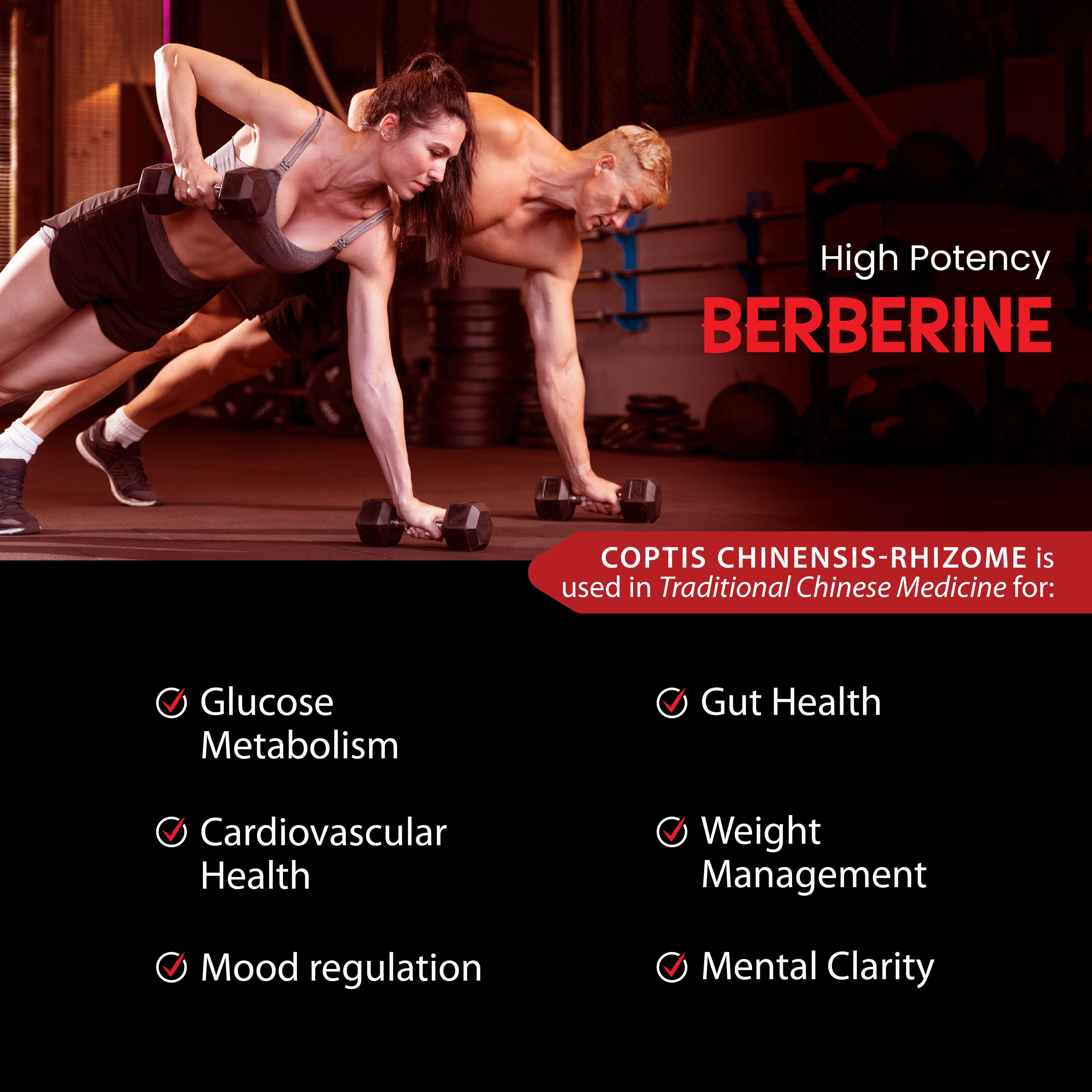 Yoga Aura 100% Pure Berberine – 500 mg of clinically studied berberine HCl, Lab tested, non-GMO & vegan | Health Canada Licensed NPN  80122843